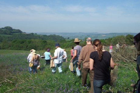 Foraging with River Cottage